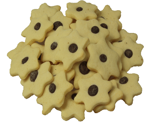 Buttergebäck mit Schokolade 300g